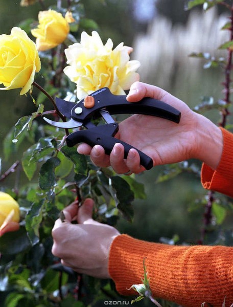 Секатор Fiskars PowerStep P83 111670 с храповым механизмом